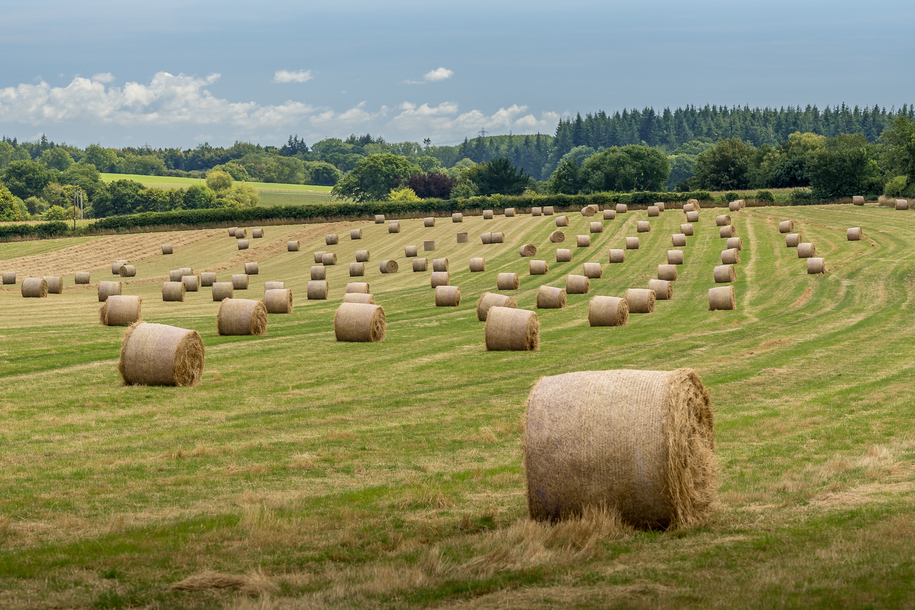 Hay Scam Warning from Department of Agriculture