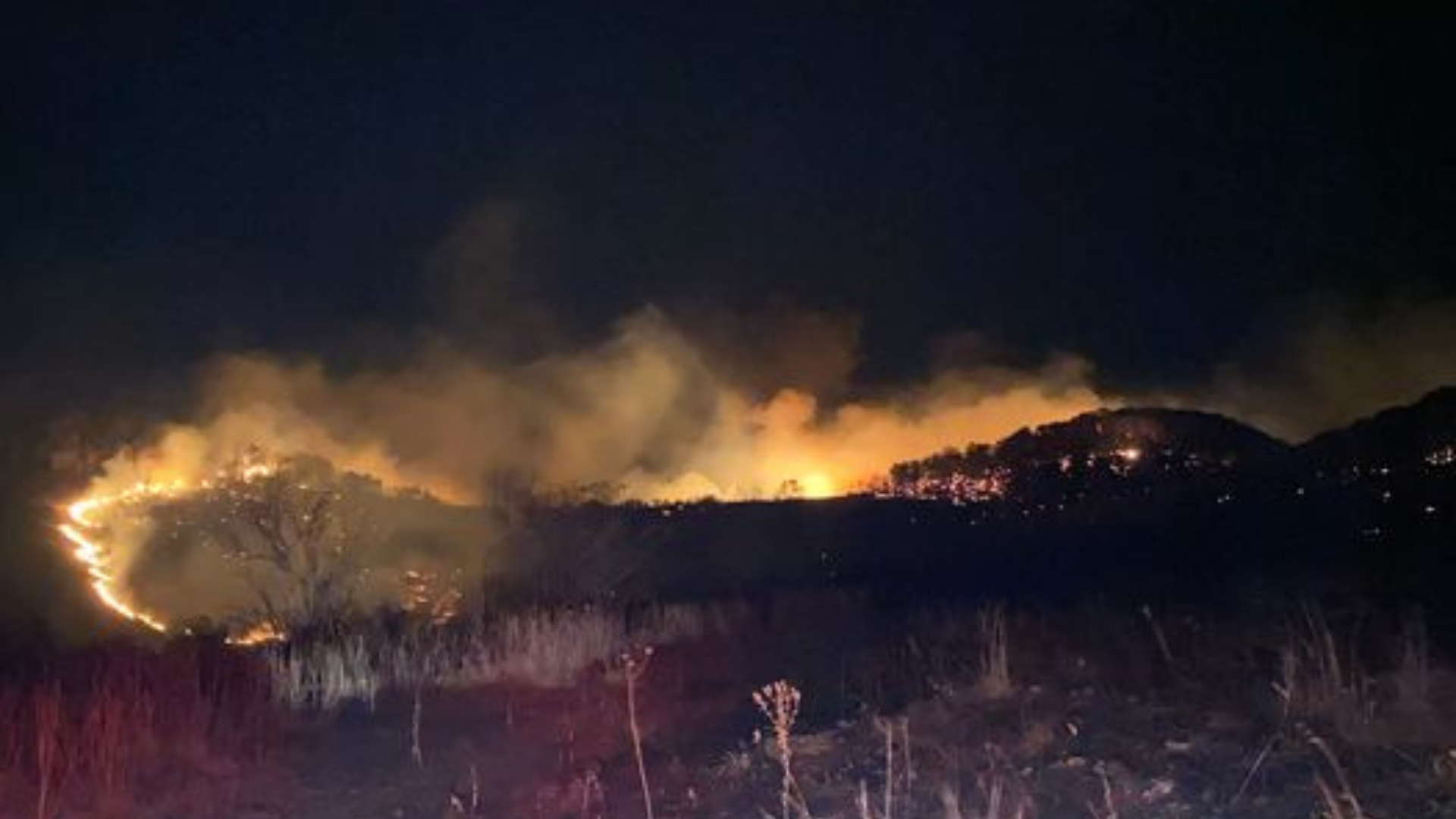 Mark Twain National Forest Firefighters Respond to Sugar Fire Near ...