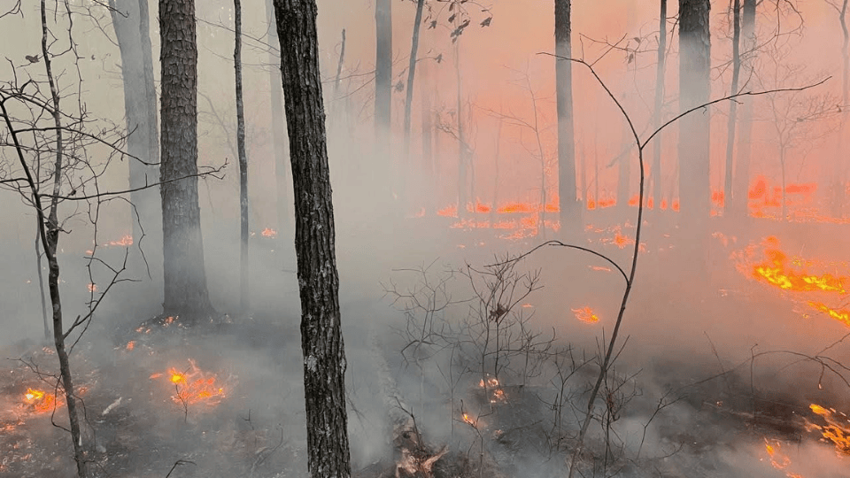 Missouri Firefighters Battle Widespread Wildfires Amid Dangerous Conditions